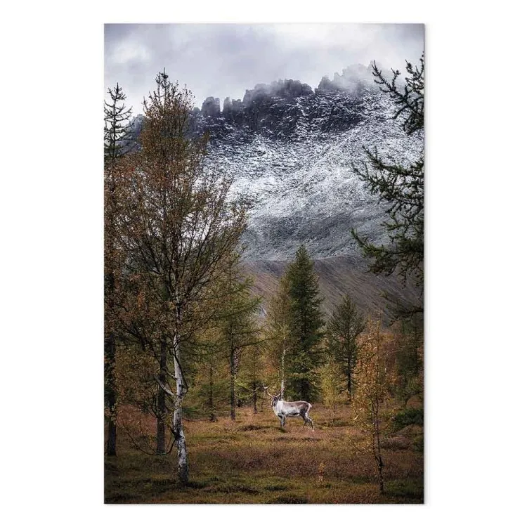 Automne (1 partie) - Paysage forestier
