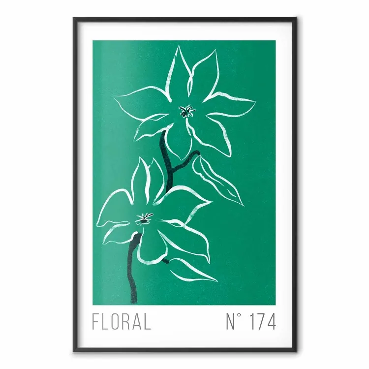 Esquisse florale - plantes blanches sur fond vert et textes en bas
