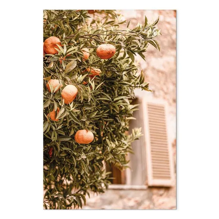 Fruits urbains (1 partie) - arbre de mandarine devant un bâtiment