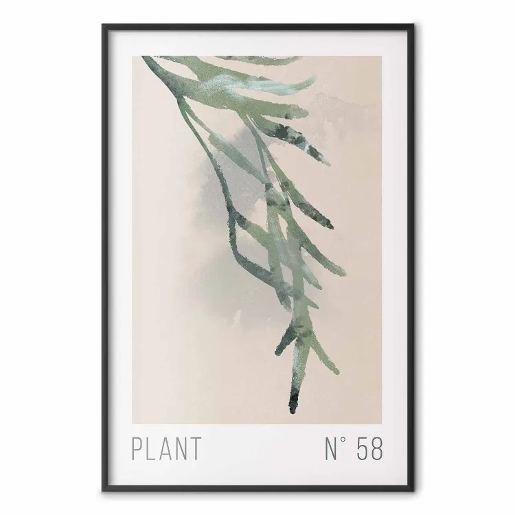 Plante numéro 58