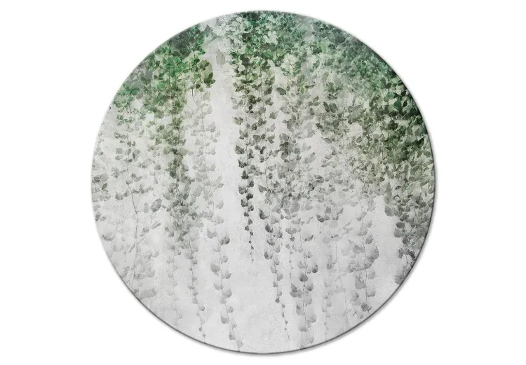 Oasis de tranquillité - composition végétale avec du lierre sur le mur