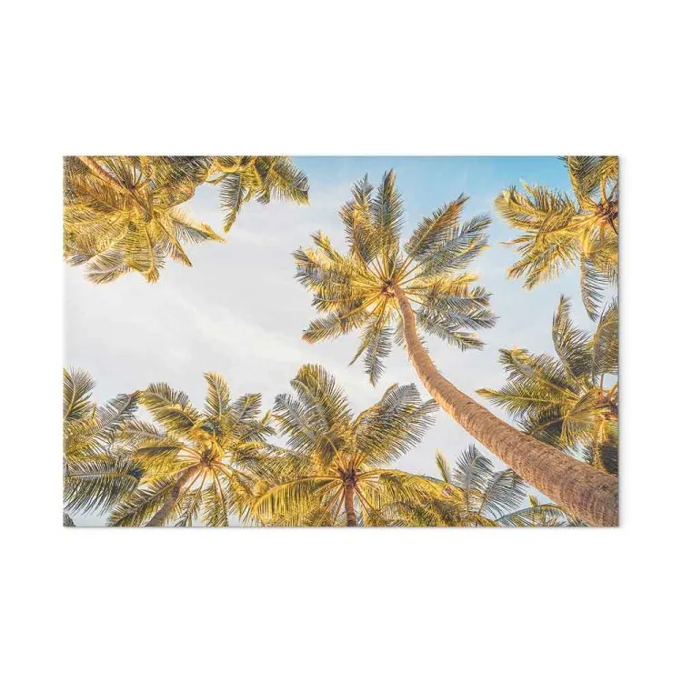 Palmiers - arbres tropicaux sur fond de ciel lumineux