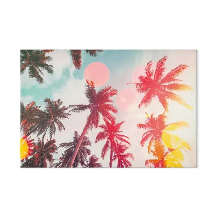 Palmiers dans la lumière - arbres tropicaux au soleil