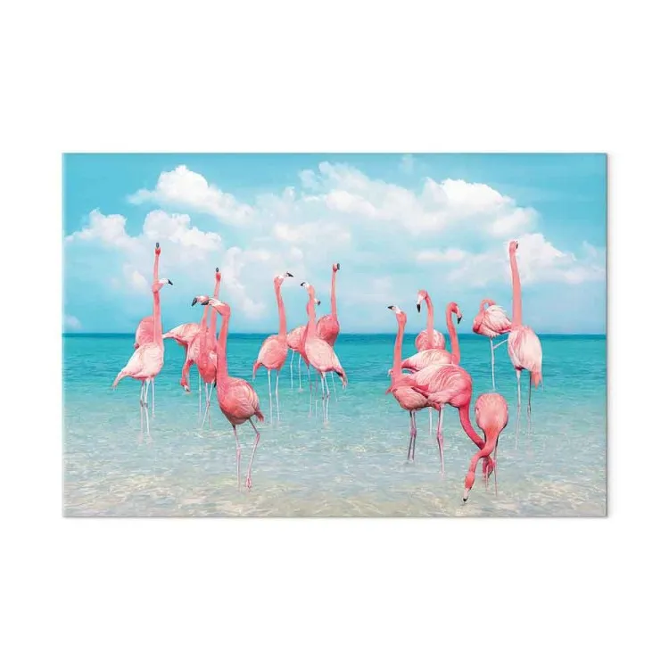 Flamants tropicaux - oiseaux dans une eau claire sous un ciel bleu