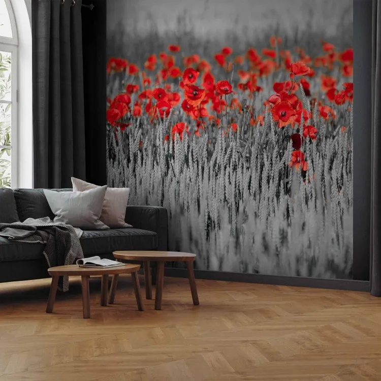Coquelicots en noir et blanc - Abstraction contrastée de fleurs rouges