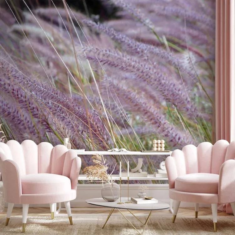 Champ d'herbes hautes - une vue sur une prairie de plantes violettes